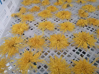 Flower Drying Machine1 (2)