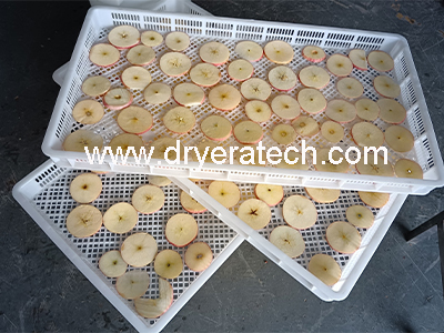 Apple Chip Drying Machine