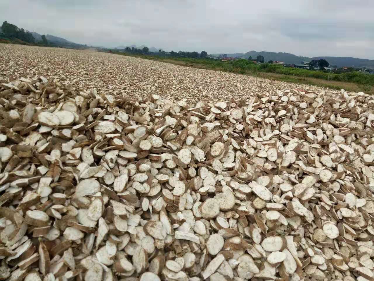 Cassava Chips Dryer Machine