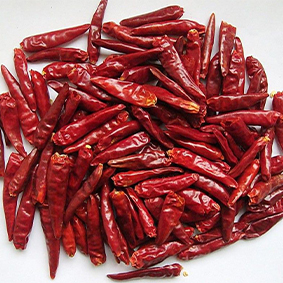 Chilli Drying Machine