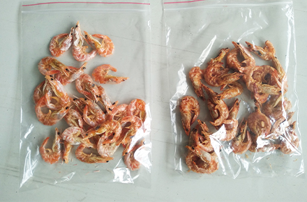 Shrimp Shell Drying Machine