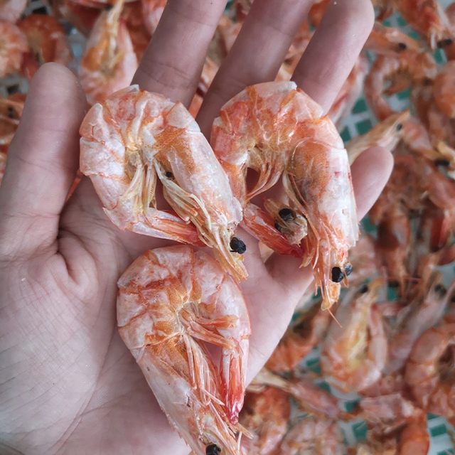 Shrimp Dryer Machine