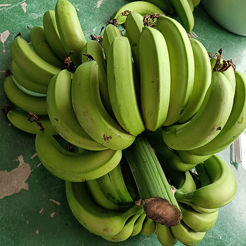 Plantain Drying Machine