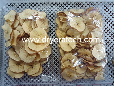 Apple Chips Drying Equipment