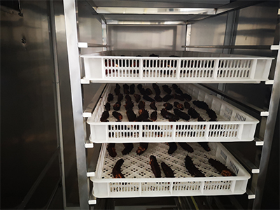 sea cucumber drying machine