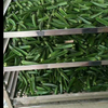 Okra Drying Machine