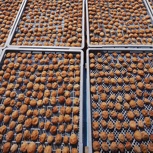 Raisins dehydrating