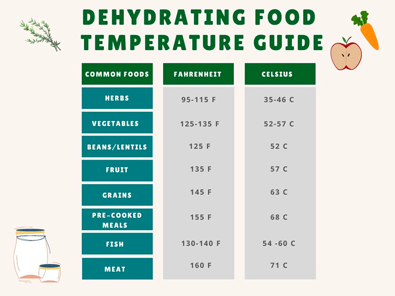 how to use a food dehydrator1