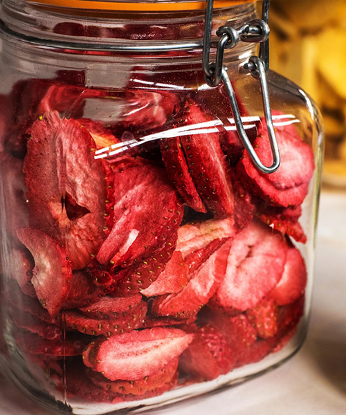 what can i make with a food dehydrator12