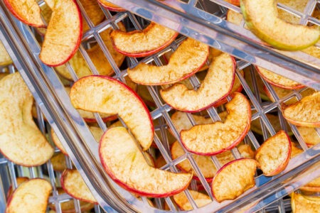 how to pick a food dehydrator1