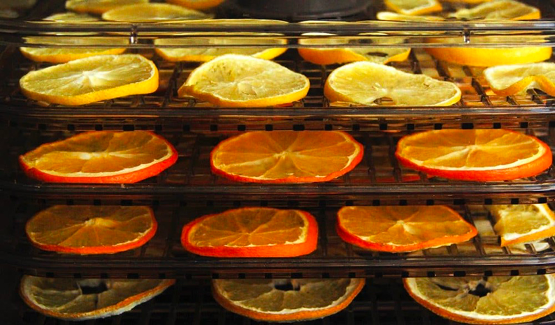 Does A Food Dehydrator Remove Nutrients?