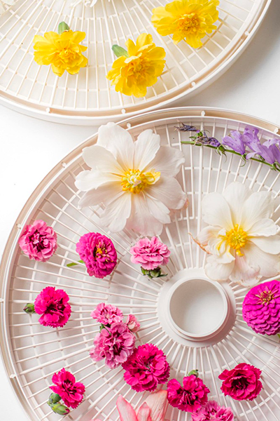 can you dry flowers in a food dehydrator2
