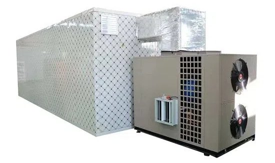 what to look for when buying a food dehydrator