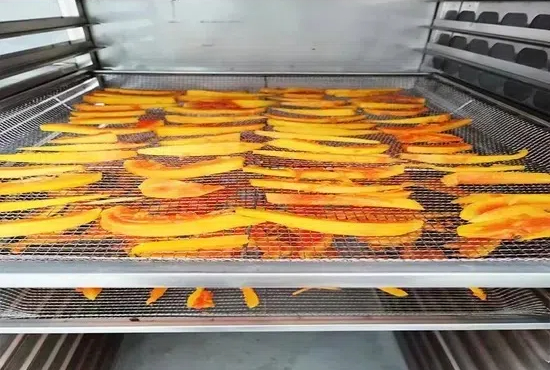 what is a dehydrator for food2