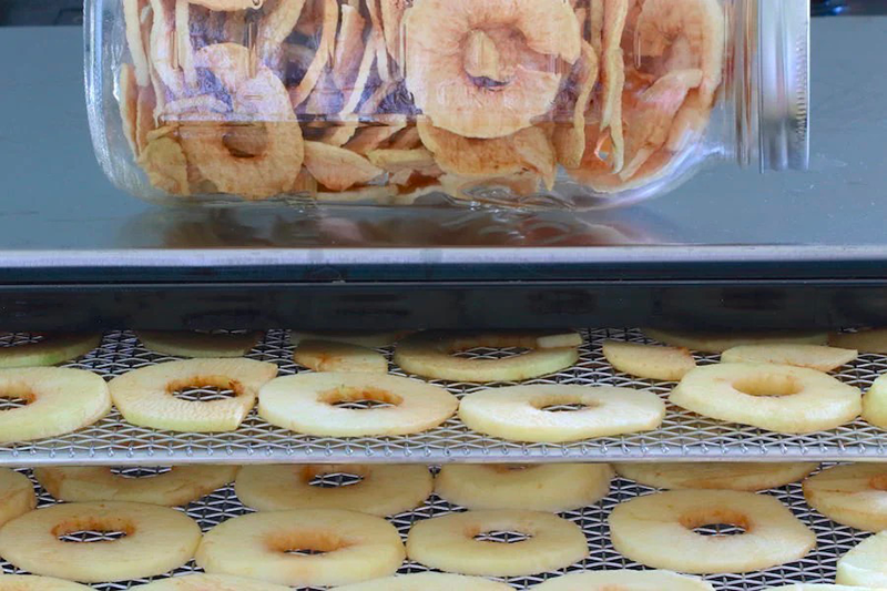 does a food dehydrator use a lot of electricity3