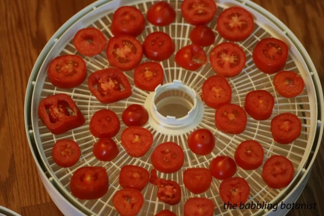 how do you use a food dehydrator2