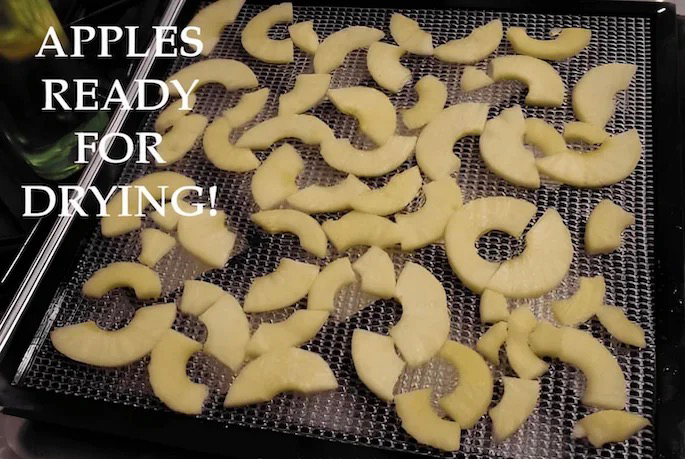how to dehydrate apples in a food dehydrator3