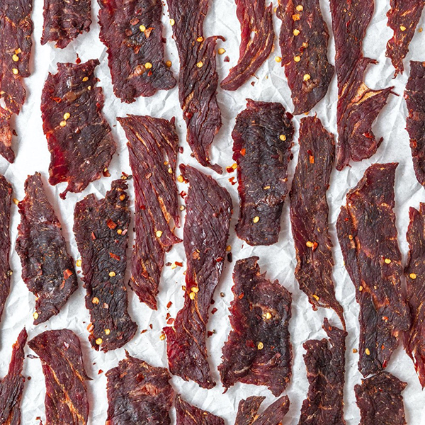 can you use a food dehydrator to make jerky2