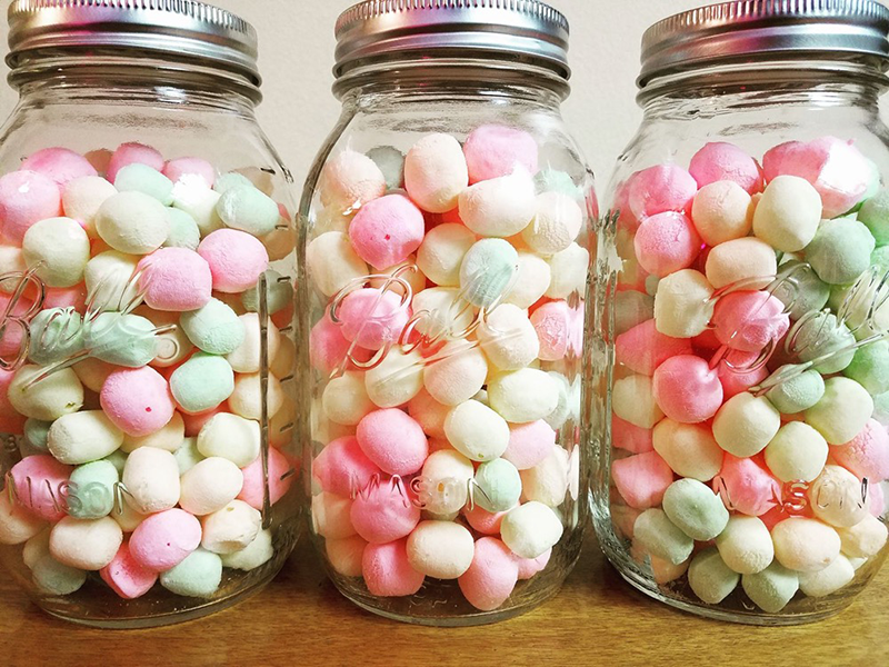 can you put candy in a food dehydrator2