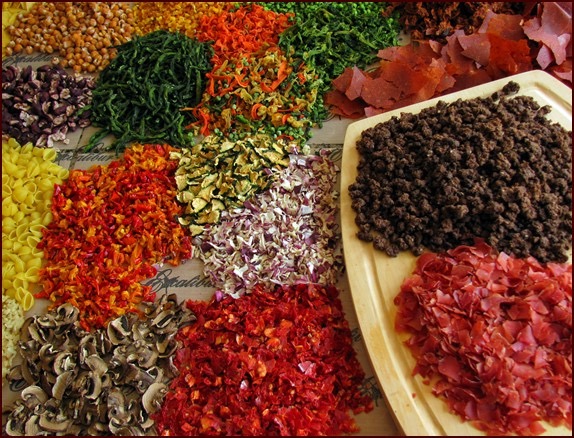 how to choose a food dehydrator12