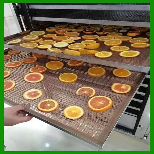 fruit dryer machine ebay3