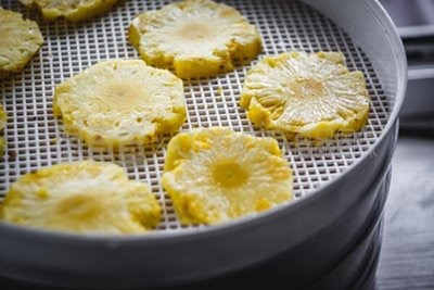 The Future of Fruit Dryer Machines