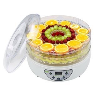 wholesale dryer fruit machine3