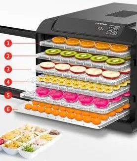 dryer machine for fruit3