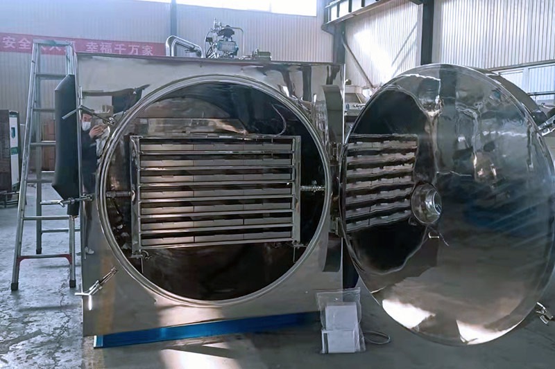 Choosing A Freeze-Dried Food Commercial Machine for Krojenia