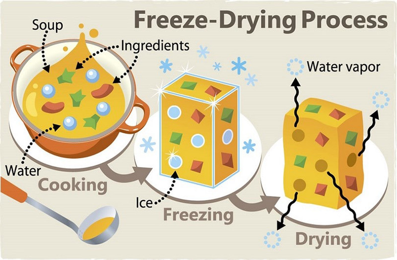 The Hidden Advantages of Owning A Food Dehydrator