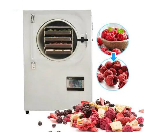 The Secret Behind China's Efficient Fruit Drying Machines