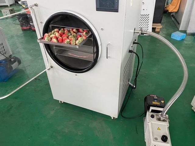 How Do You Freeze Dry Food without A Machine?