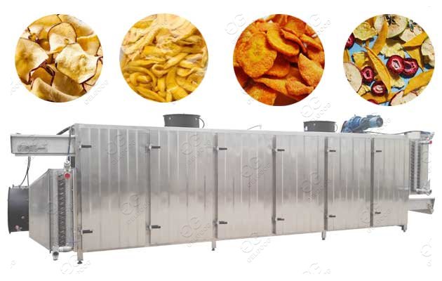 industrial fruit dryer machine1
