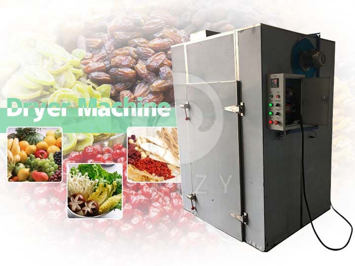 fruit and vegetable dryer machine1