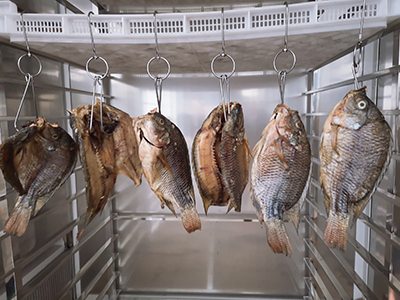 3 kinds of advanced fish drying technology