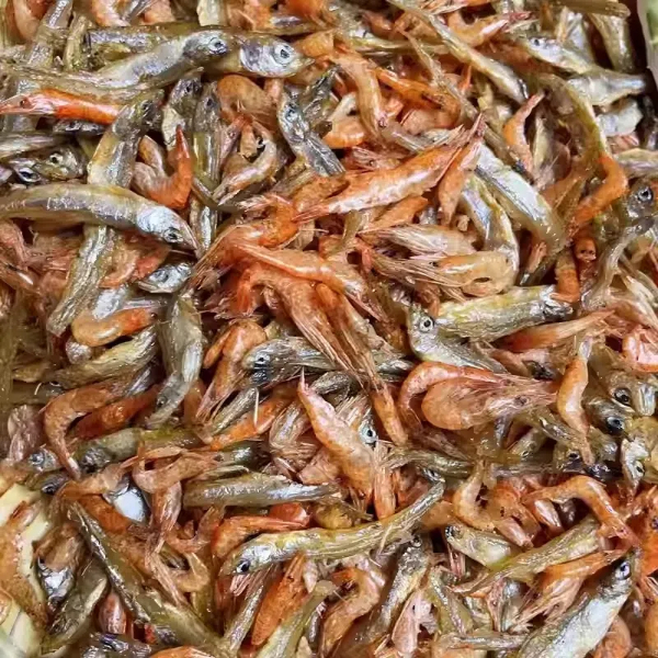 Hang Type Dryers for Seafood Processing: Benefits And Best Practices