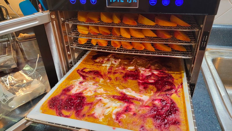 how long does a food dehydrator take1
