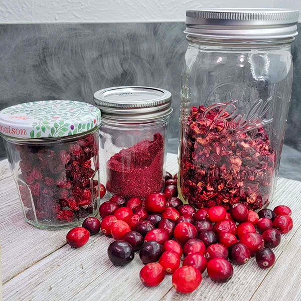 How To Use A Food Dehydrator for Fruit?