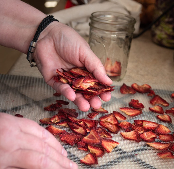 what can you use a food dehydrator for2