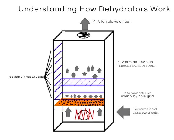 how does food dehydrator work3