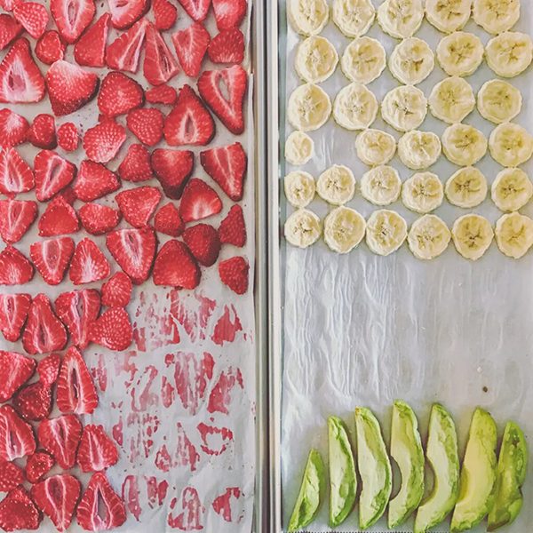 does a food dehydrator freeze dry3