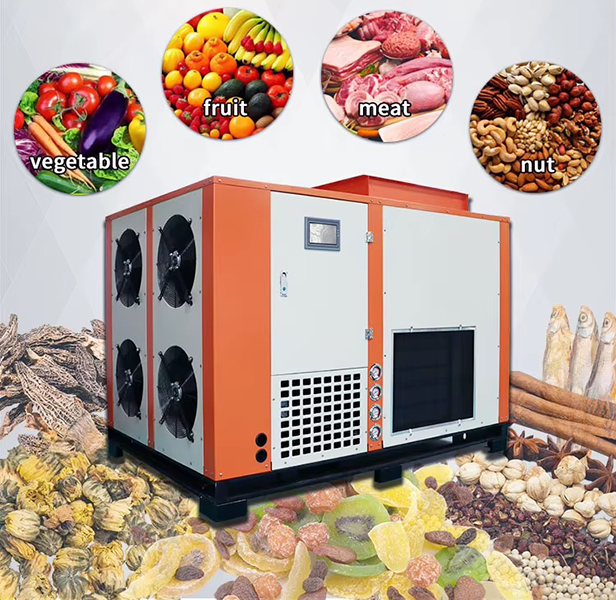 does a food dehydrator remove nutrients2