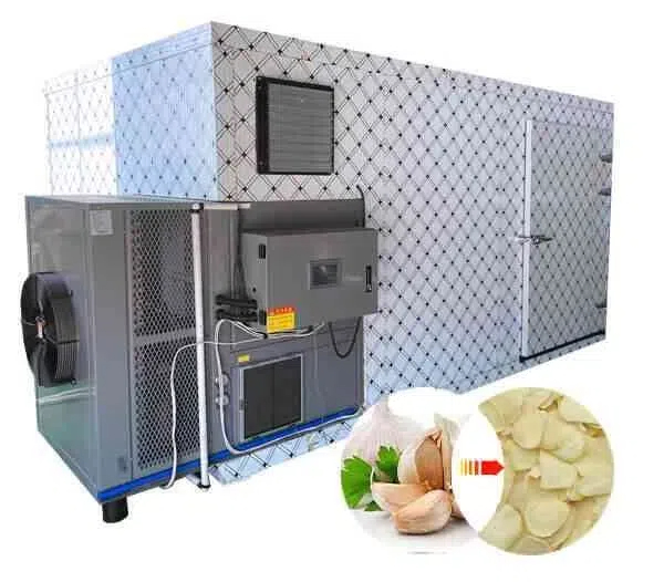 What Can You Dehydrate in A Food Dehydrator?