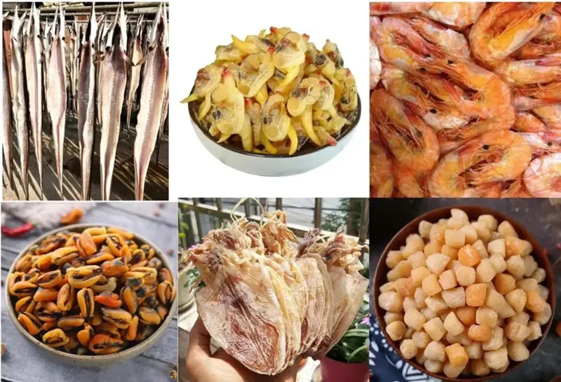 What To Put in A Food Dehydrator?