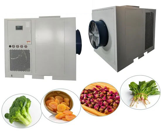 What Is A Dehydrator for Food?
