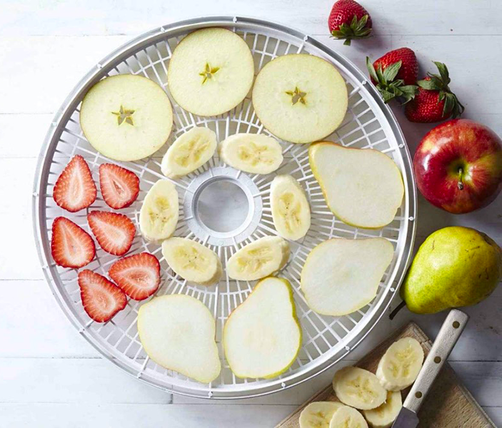 a food dehydrator3