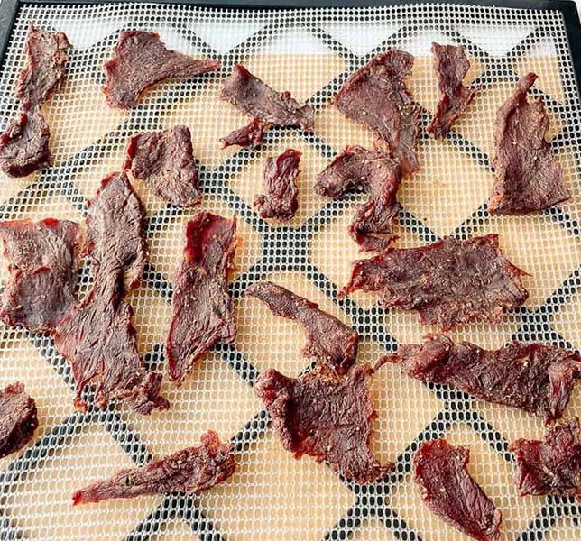 Can You Use A Food Dehydrator To Make Jerky?