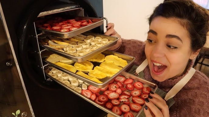 can you freeze dry food in a dehydrator1