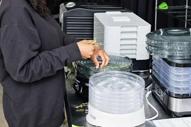 The Ultimate Guide to Cabinet Type Dehydrator Machines