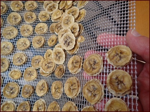 how to dehydrate bananas in food dehydrator2